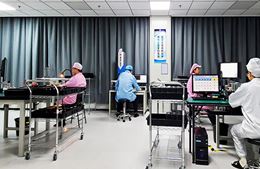 金沙2004线路检测